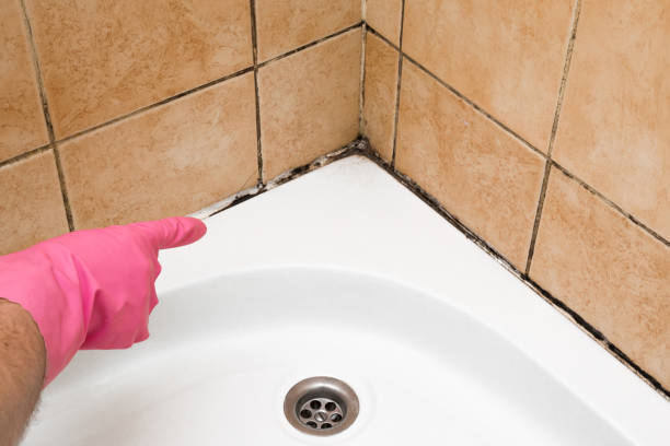 Best Crawl Space Mold Remediation in Oakboro, NC